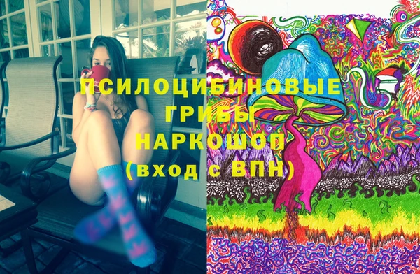 PSILOCYBIN Белоозёрский