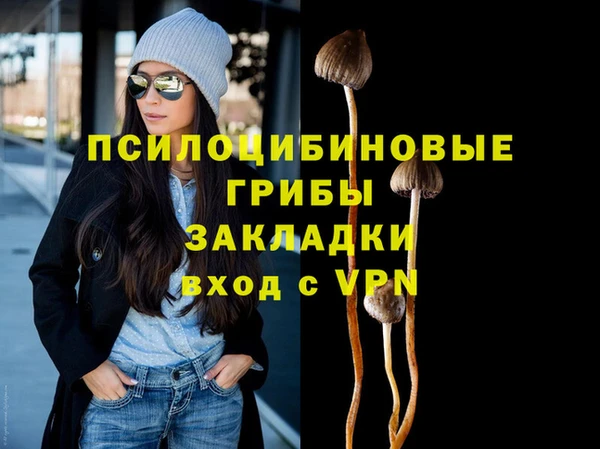 PSILOCYBIN Белоозёрский