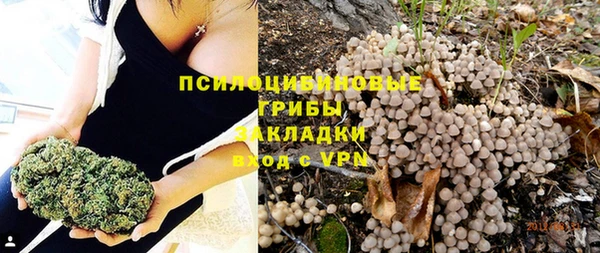 PSILOCYBIN Белоозёрский