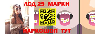 ALPHA PVP Гатчина