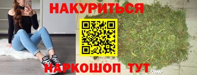 ALPHA PVP Гатчина