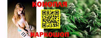 ALPHA PVP Гатчина