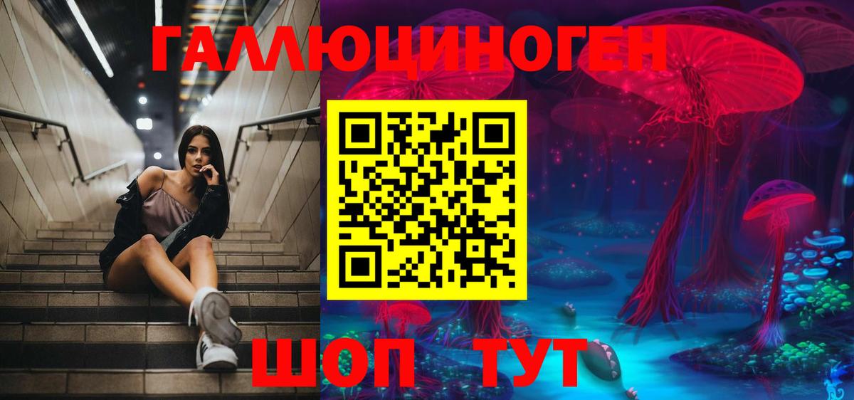 Псилоцибиновые грибы Cubensis  Галлюциногенные грибы MAGIC MUSHROOMS  Комсомольск-на-Амуре  Вход с VPN 